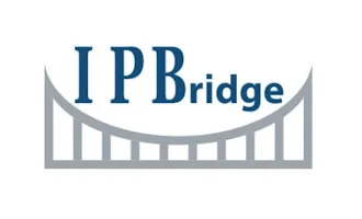 IP Bridge